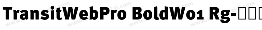 TransitWebPro BoldW01 Rg字体转换